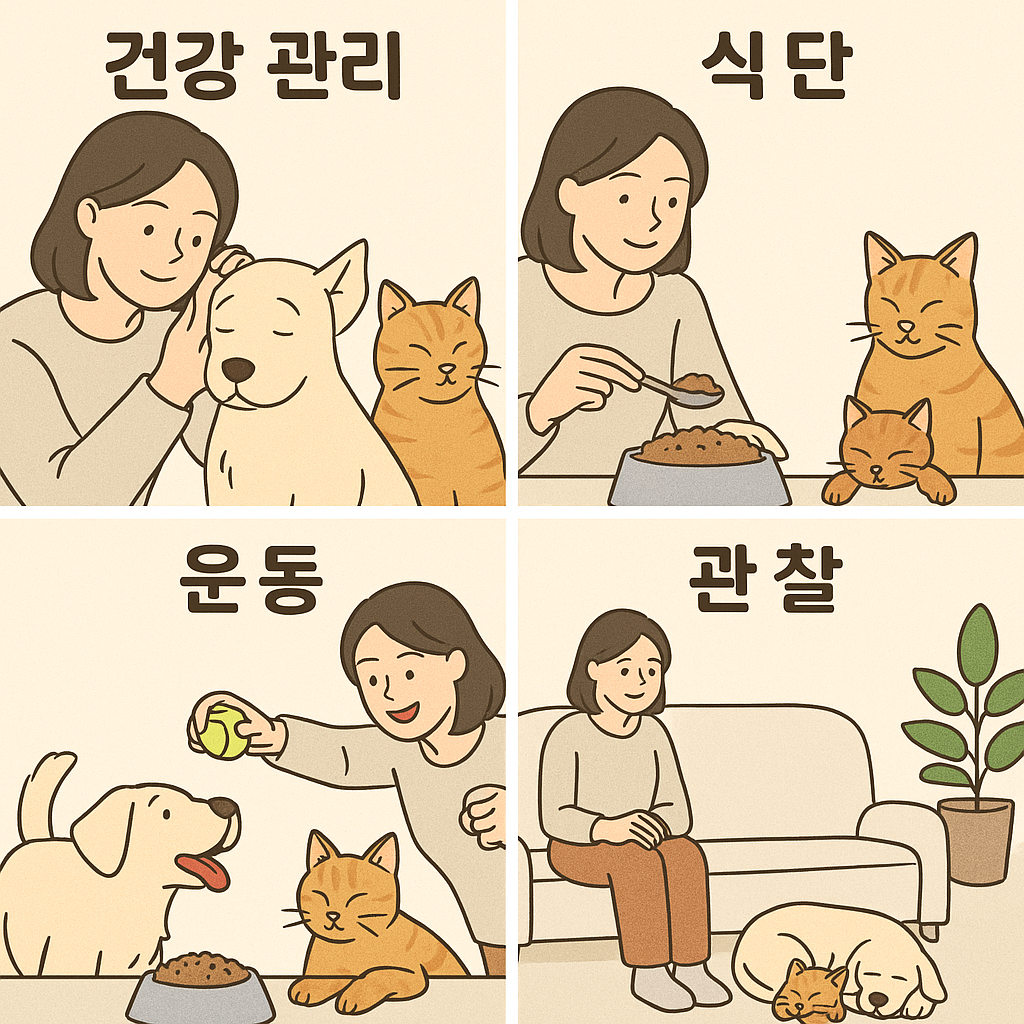 노령견, 노령묘 건강 식단 운동 관리법