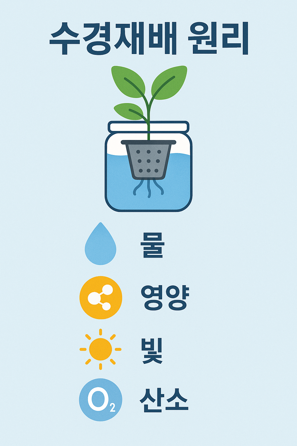 수경 재배 원리